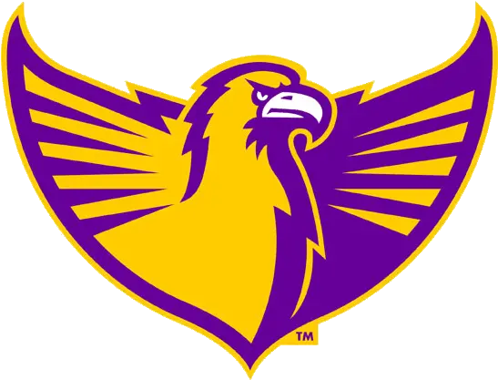 Tennessee Tech Golden Eagles Alternate Logo Ncaa Division Tennessee Tech Golden Eagles Logo Png Eagles Logo Transparent