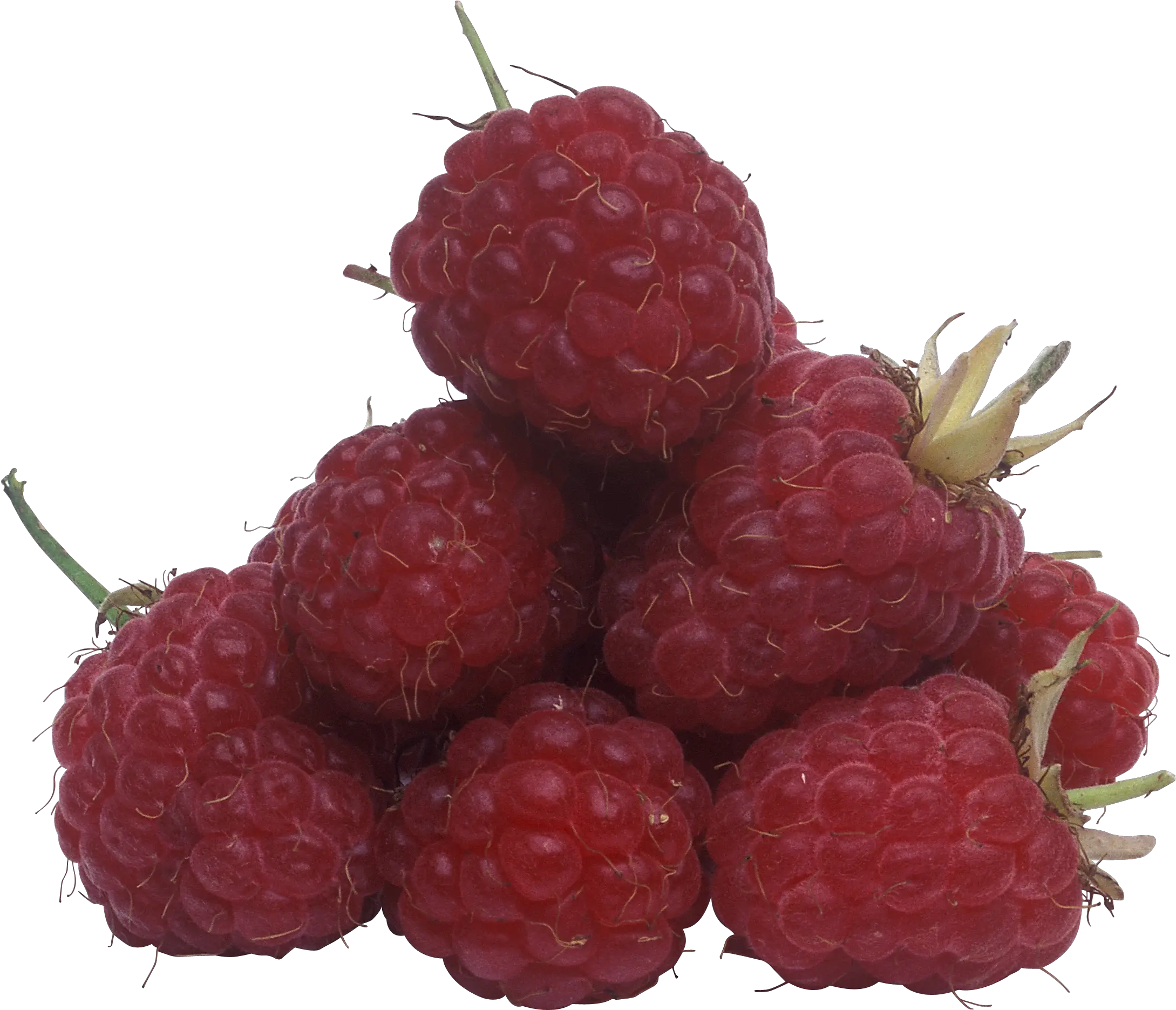 Raspberry Transparent Png Raspberry Raspberries Png