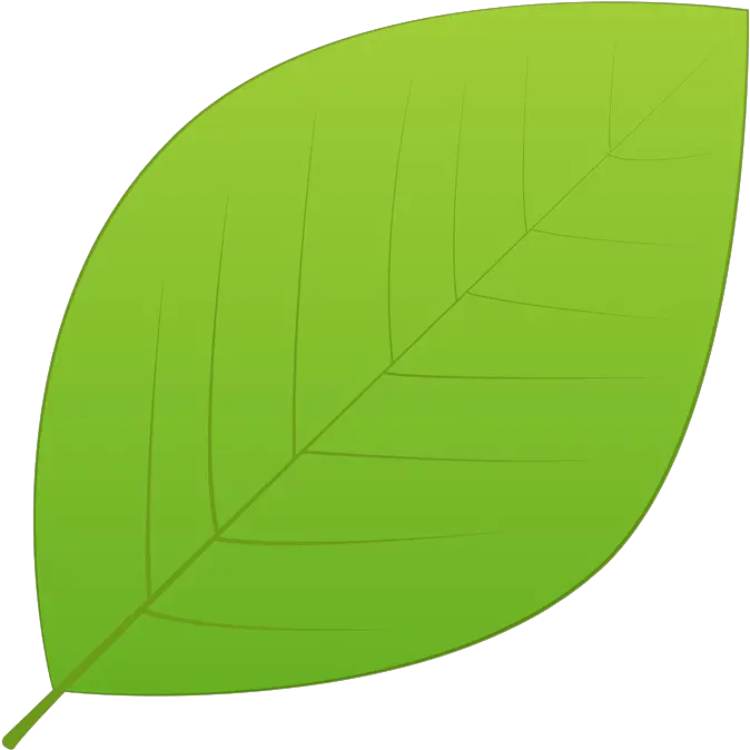 Green Leaves Png Hd Background 1130382 Png Images Pngio Illustration Mint Leaves Png