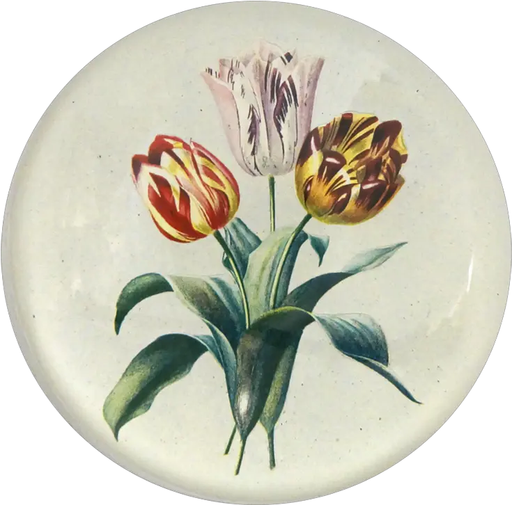 3 Tulips Vintage Tulip Prints Png Tulips Png