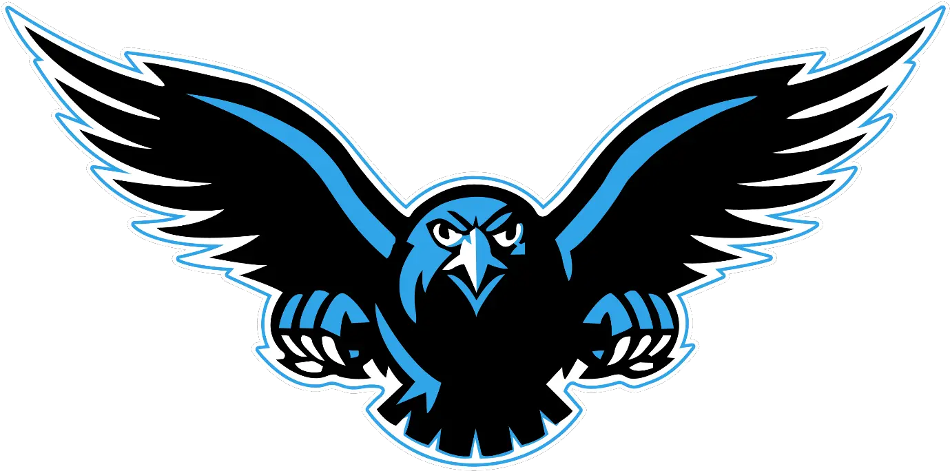 Falcon Logo Vector Northumberland Nighthawks Png Bird Logo