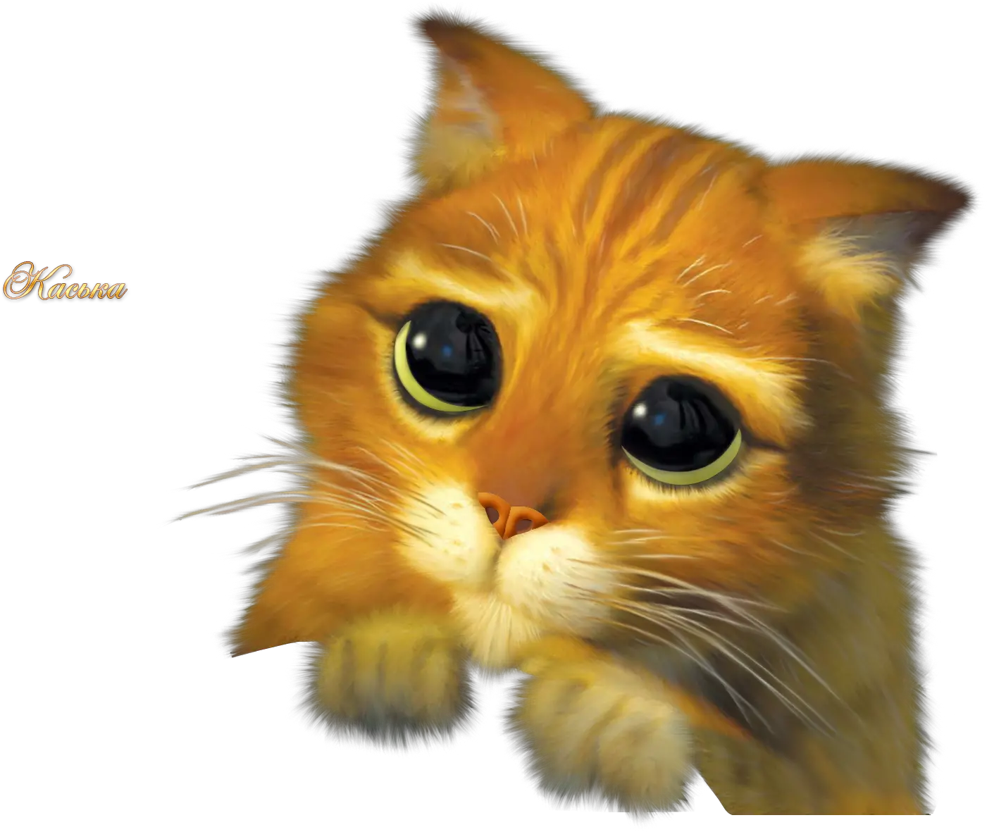 Puss In Boots Cat Donkey Shrek The Puss In Boots Shrek Png Donkey Shrek Png