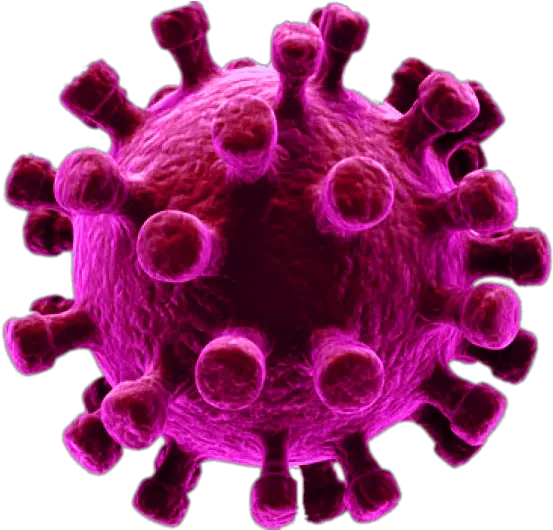 Download Transparent Free Png Images Png Mart Virus Png Transparent Image