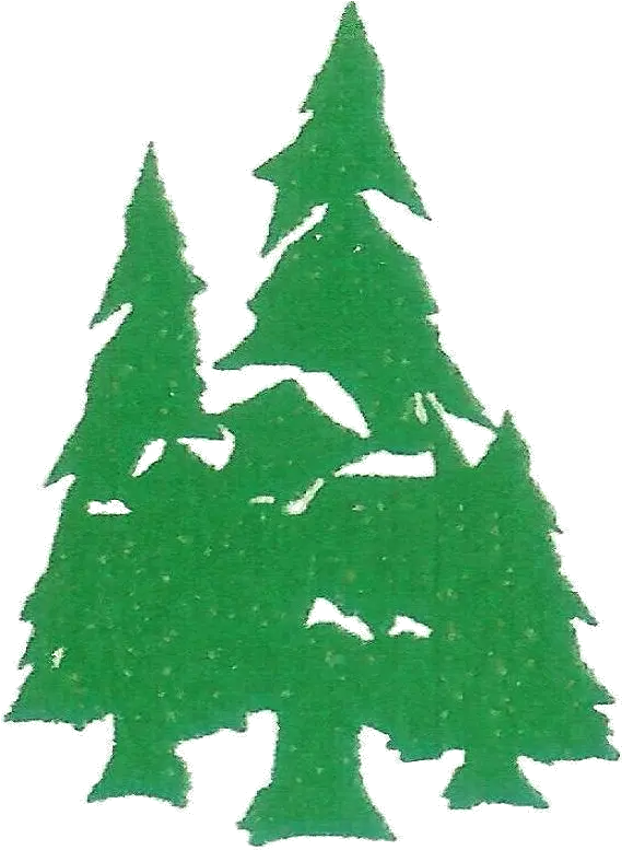 Christmas Tree Christmas Tree Png Evergreen Tree Png