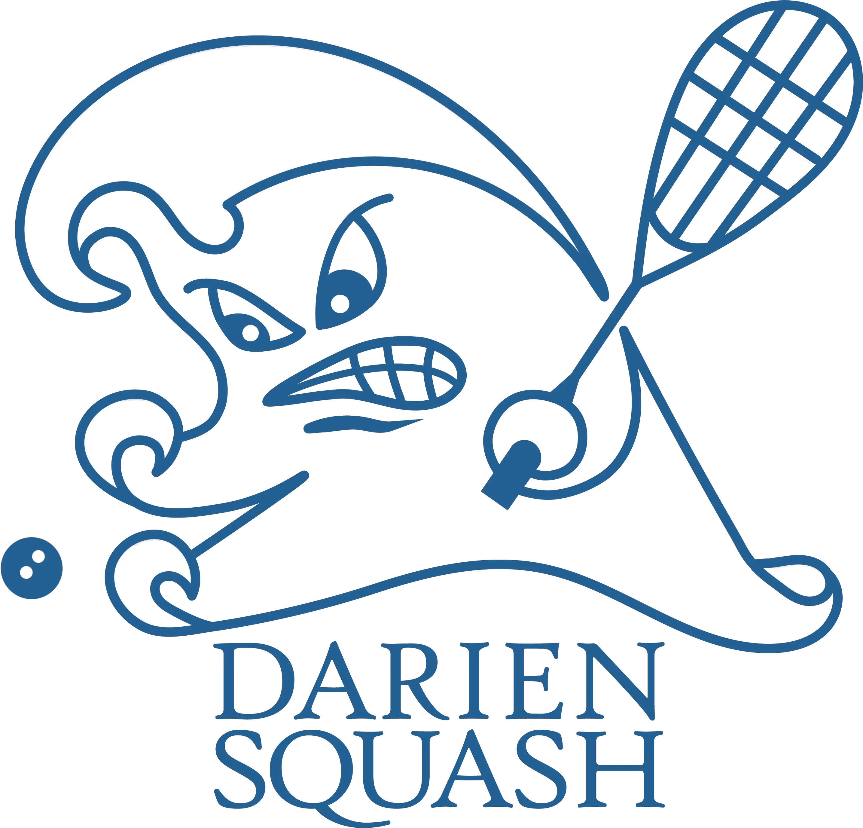 Brand Guidelines Darien Squash Inc Portable Network Graphics Png Wave Logo