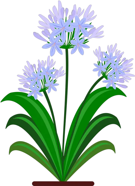 Plantfloraflowerpot Png Clipart Royalty Free Svg Png Flower Blue Pdf Flower Pot Png