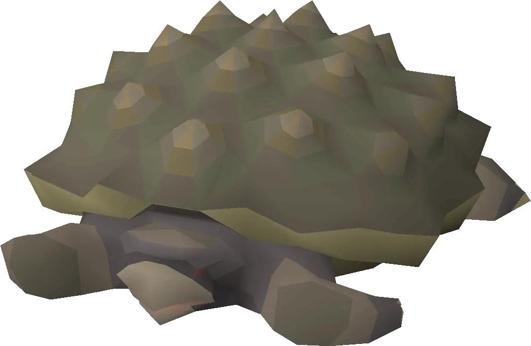 Tortoise Osrs Wiki Tortoise Osrs Png Tortoise Png