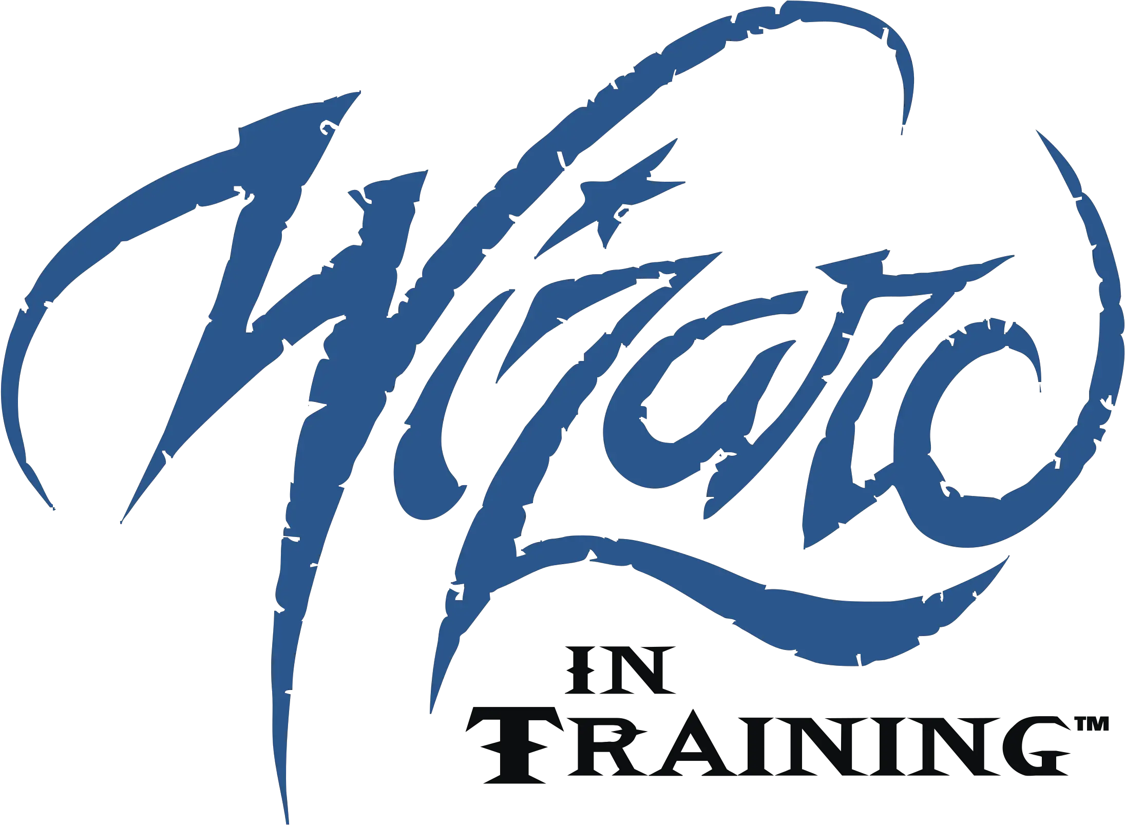 Wizard In Training Logo Png Transparent U0026 Svg Vector Poster Wizard Png