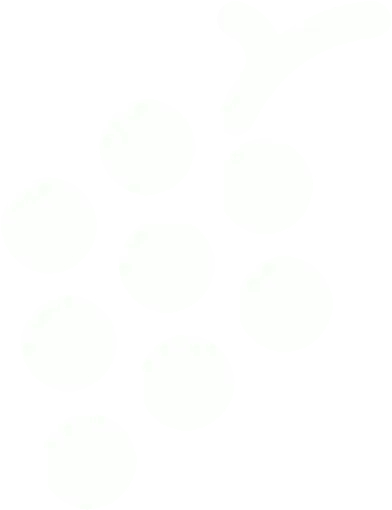 White Grapes Icon Fruits Icon Png White Grapes Icon