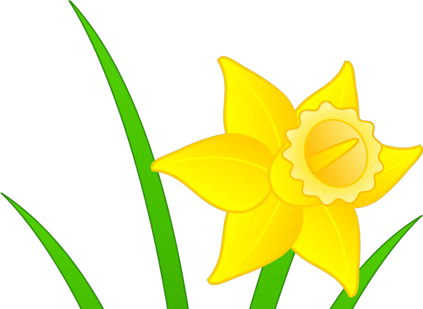 Daffodils Clipart Mothering Sunday Clip Art Daffodil Png Language Daffodil Png