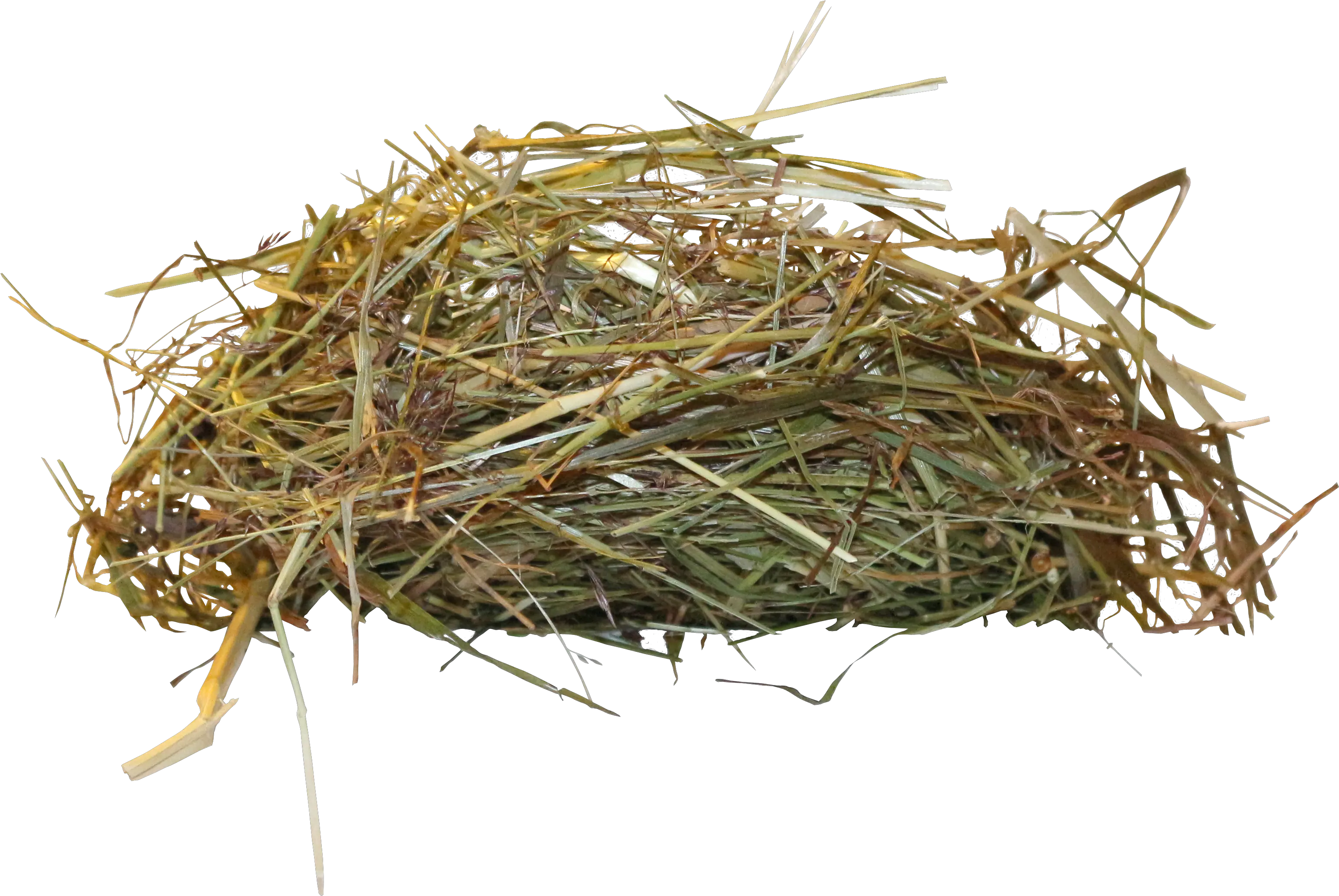 Download Hd Bird Nest Png Birds Nest Free Png Nest Png
