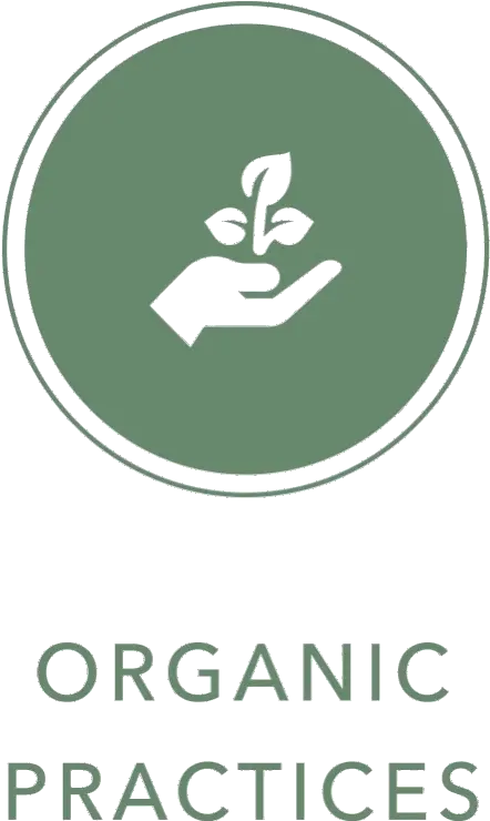 Üphoric Urth Medicinal Mushrooms I Mushroom Extracts Firetalk Png Mushroom Icon