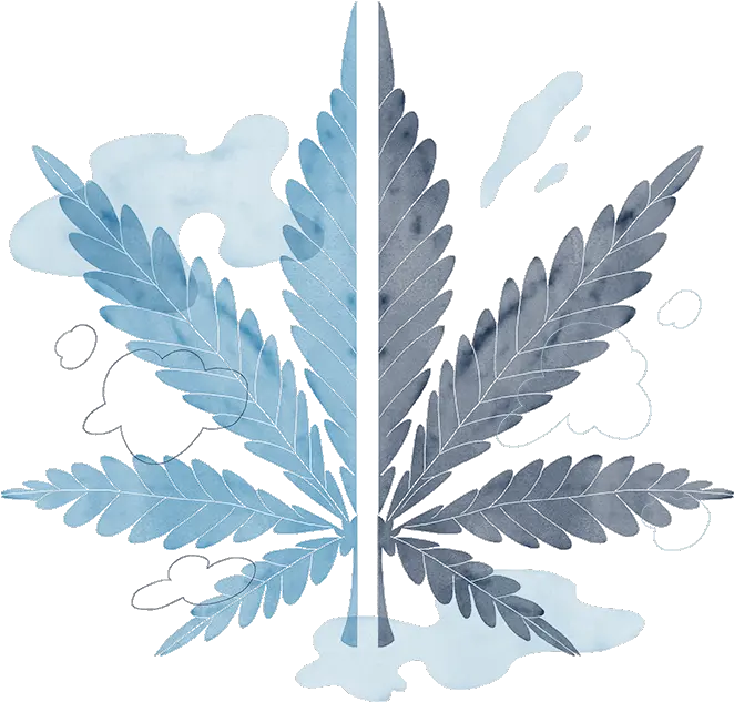About Elixinol 25 Years In Hemp Cbd Product Experts 7 Leaf Clover Futurama Png Hemp Leaf Png