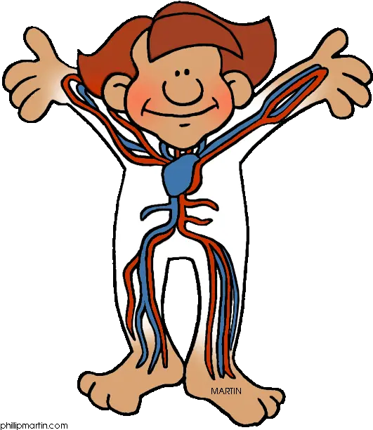 Free Cartoon Body Png Download Clip Art Cartoon Circulatory System Clipart Cartoon Body Png