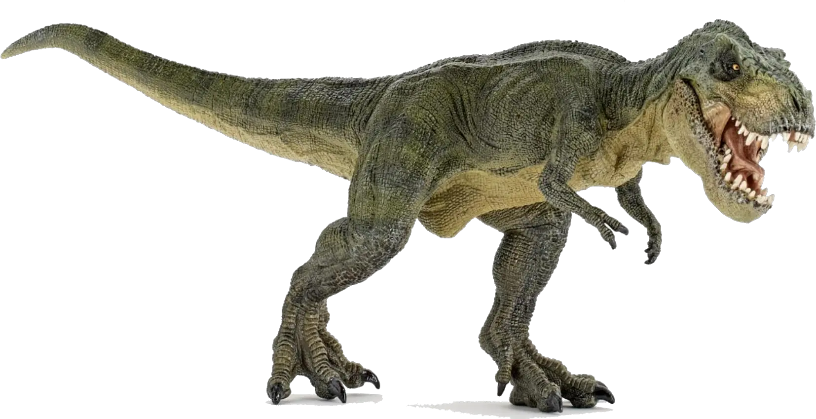Dinosaur Png Clipart Hq Image Dinosaur Png Dinosaur Png