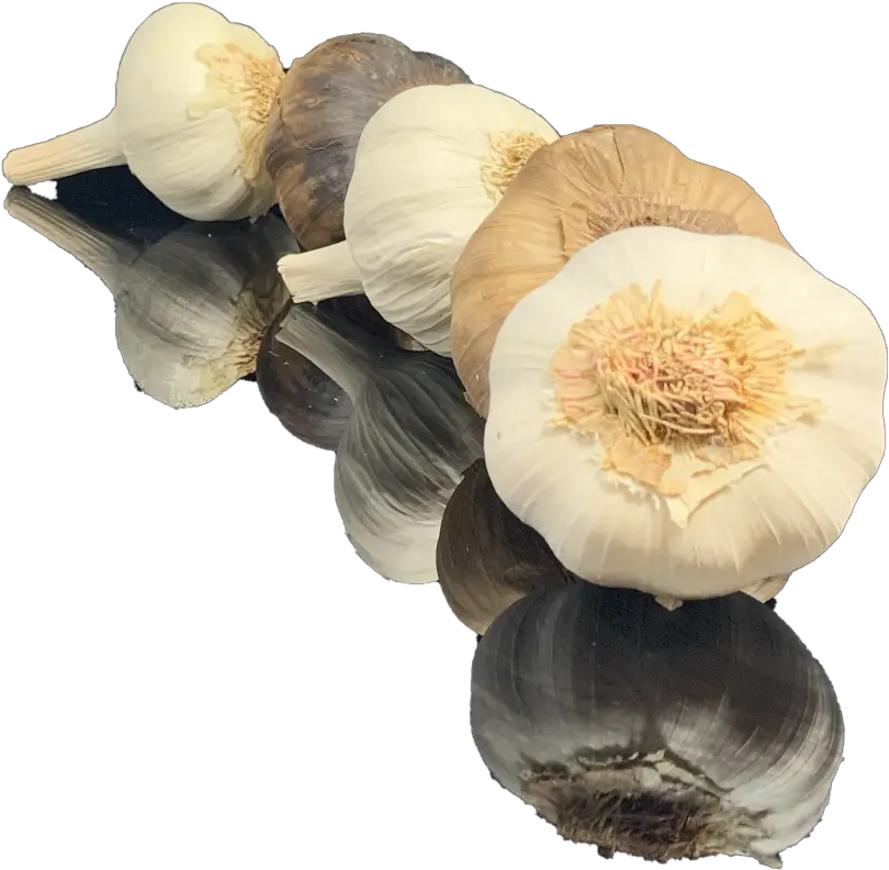 Augustu0027s Harvest Ontariou0027s Garlic Grower Persian Buttercup Png Garlic Transparent Background