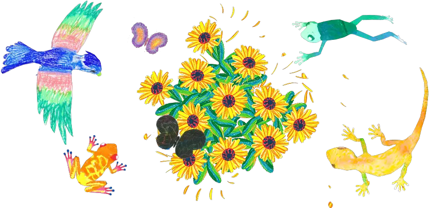 Graffiti Nature Mountains And Valleys Teamlab African Daisy Png Graffiti Transparent Background