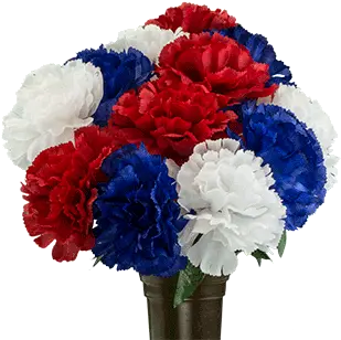 Red White And Blue Carnation Party Supply Png Carnation Png