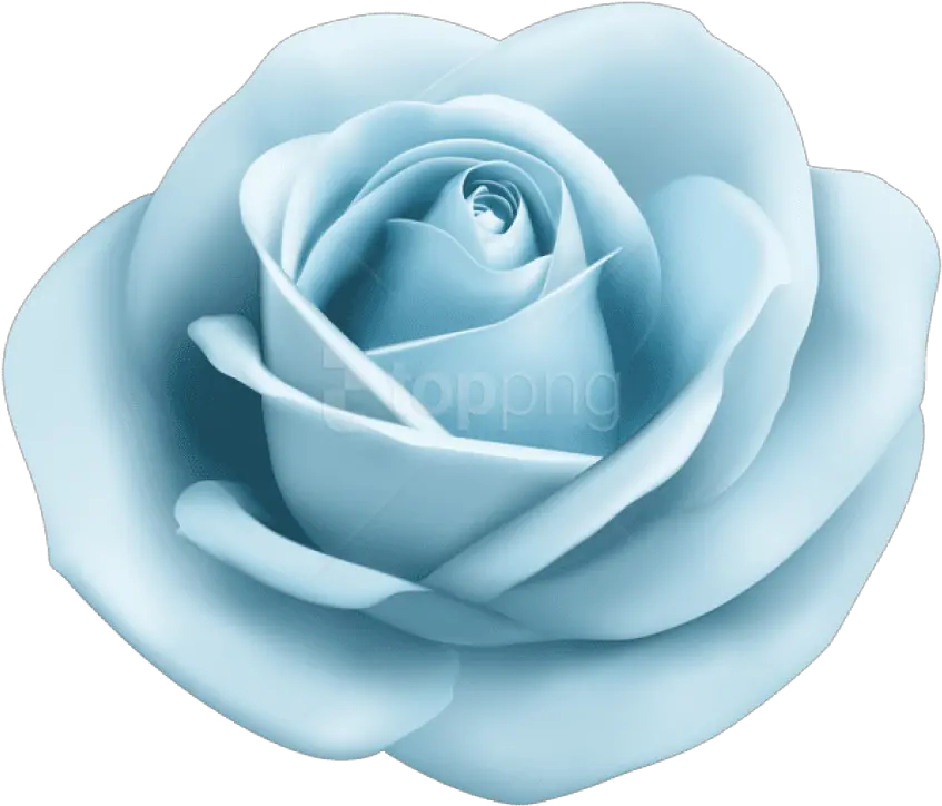 Download Pastel Blue Lightblue Babyblue Bluerose Rose Roses Light Blue Rose Png Blue Rose Png