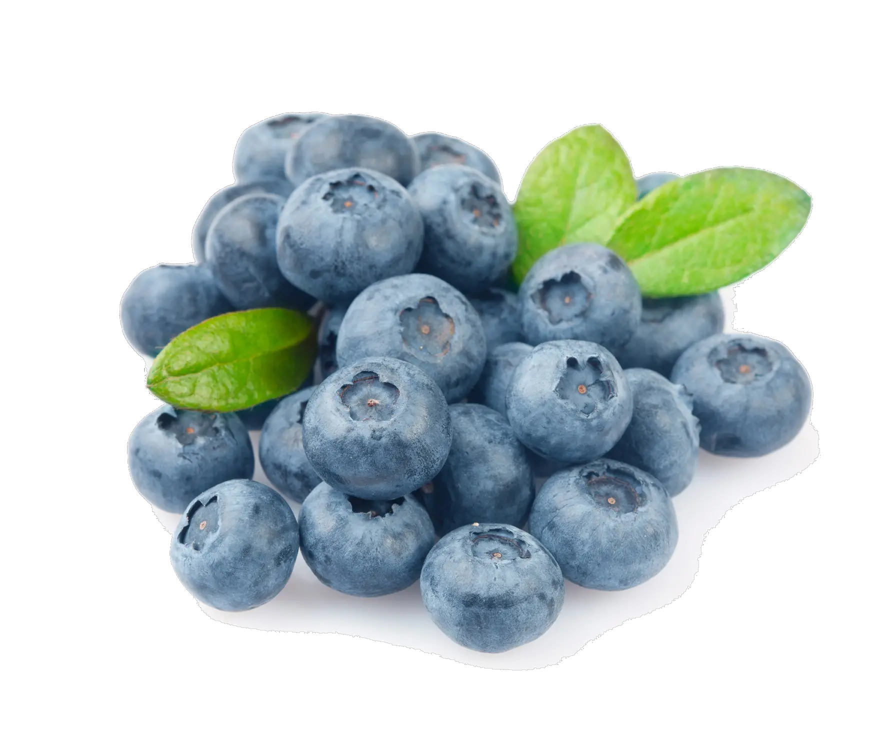 Download Blueberry Png Photo Fresh Blueberries Blueberries Png