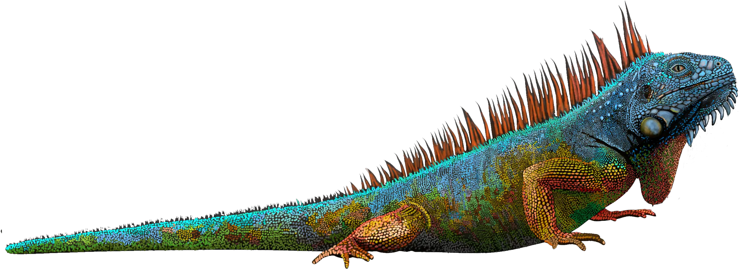 Iguana Clipart Blue Iguana Transparent Background Png Iguana Png