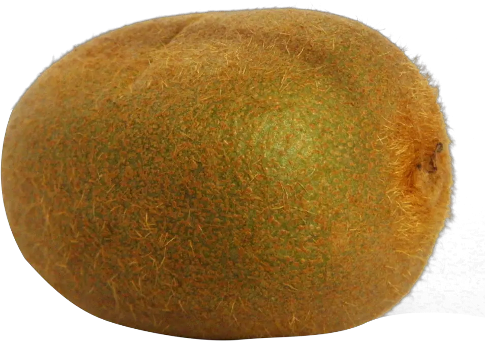 Download Kiwi Fruit Png File 259 Kiwifruit Orange Fruit Png