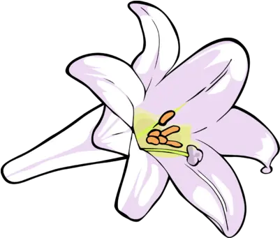 Easter Lily Clipart Images Clip Art Easter Lily Png Easter Lily Png