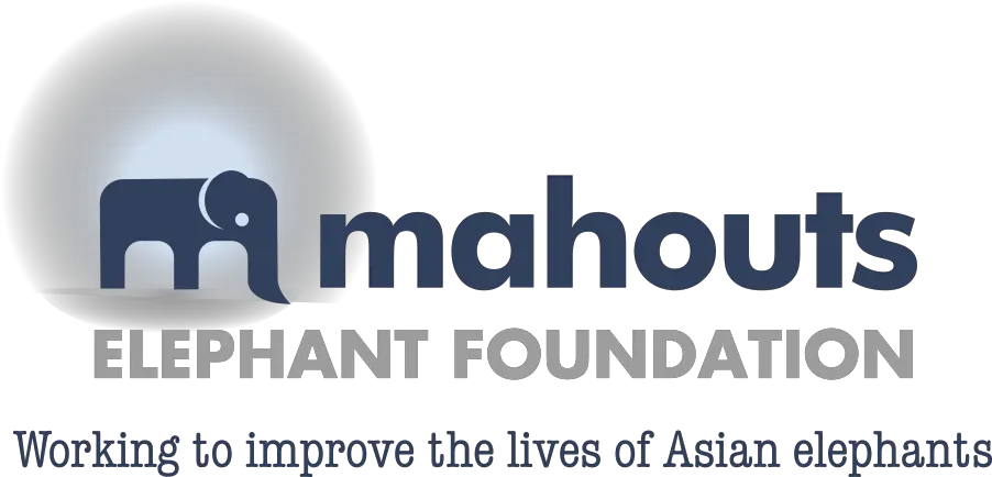 Mahouts Elephant Foundation Asian Elephant Png Elephant Logo Brand