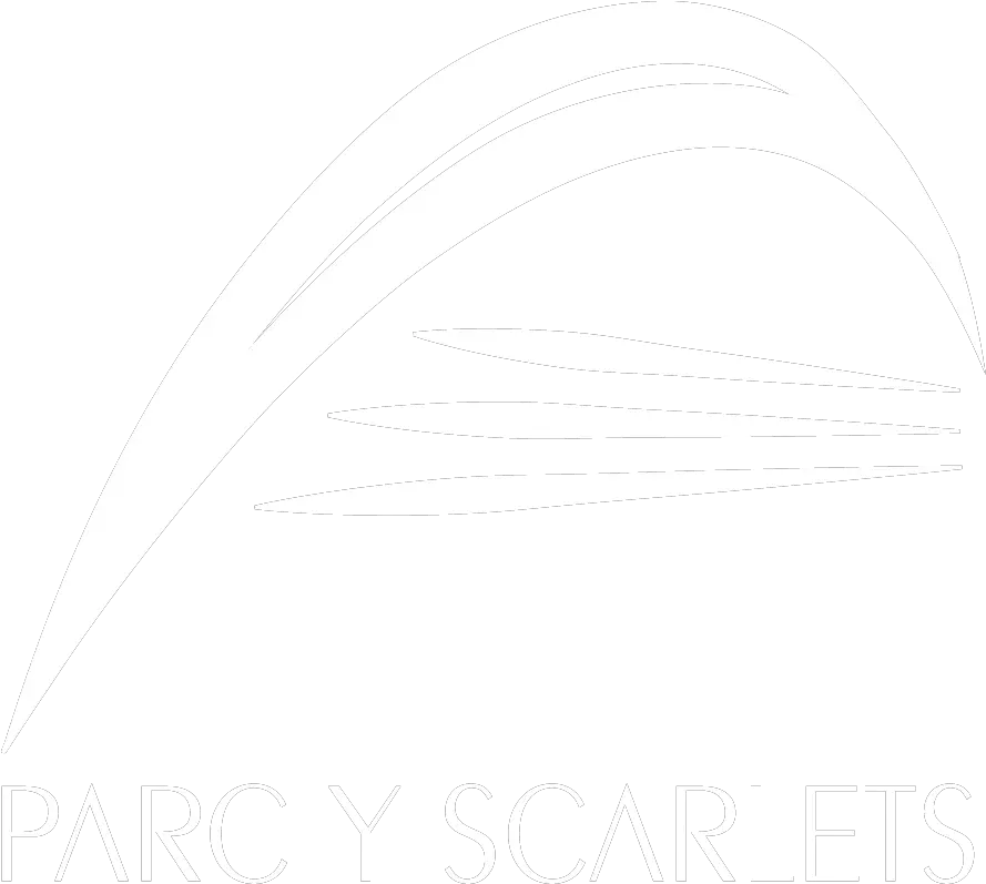 Parc Y Scarlets Events Conference And Meeting Venue In Poster Png Y Logo