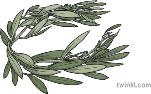 Olympic Olive Leaf Crown Illustration Twinkl Drawing Png Crown Png