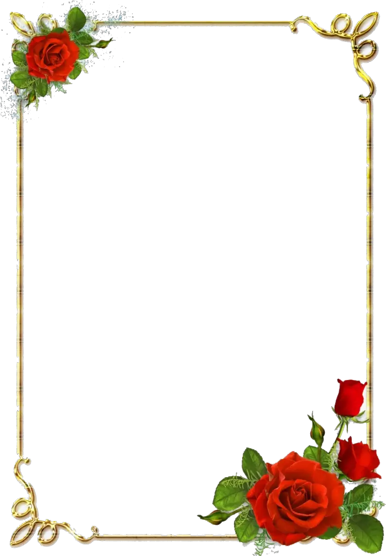 Border Designs Png Image Download Rose Flower Border Png png