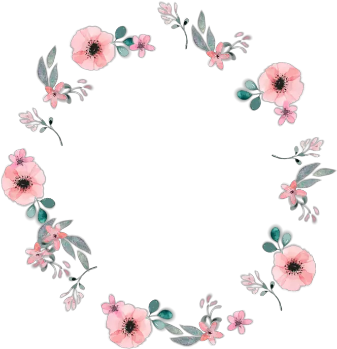Transparent Flower Circle Png Flowers Circle Png Transparent png