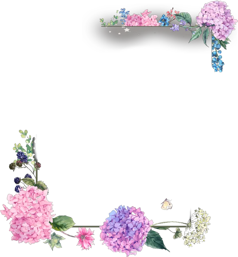 mq flower flowers border borders frame frames Square Floral Frame Png png