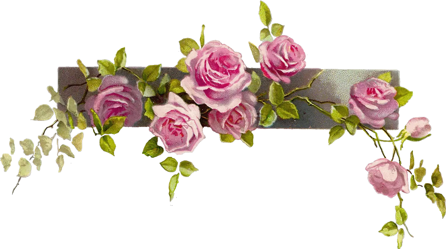 Flower Border Vintage Rose Border Clipart Clipart Kid Flower Vintage Border Clipart png