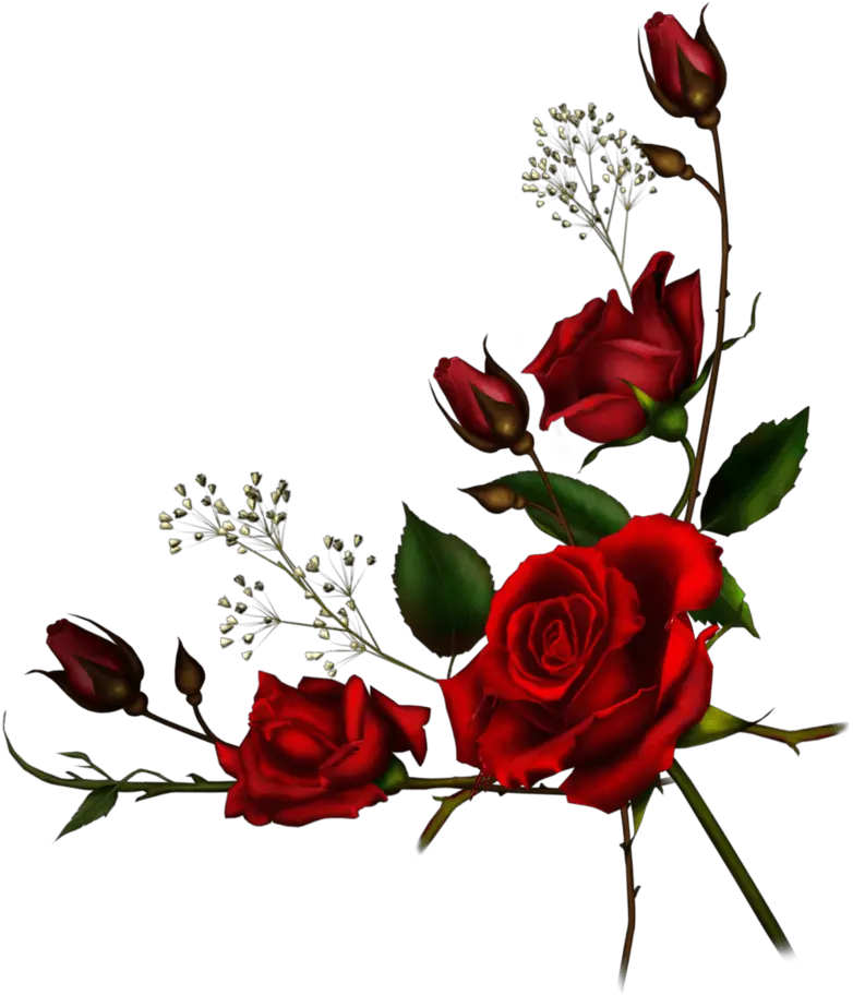 Transparent Vine Border Clipart Red Roses Border Png png