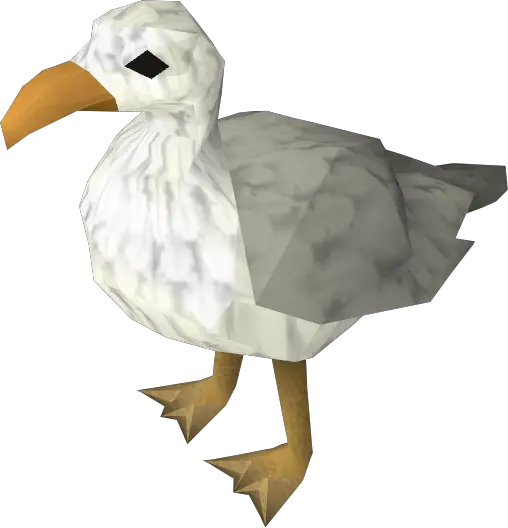 Seagull Seagull Osrs Png Seagull Png