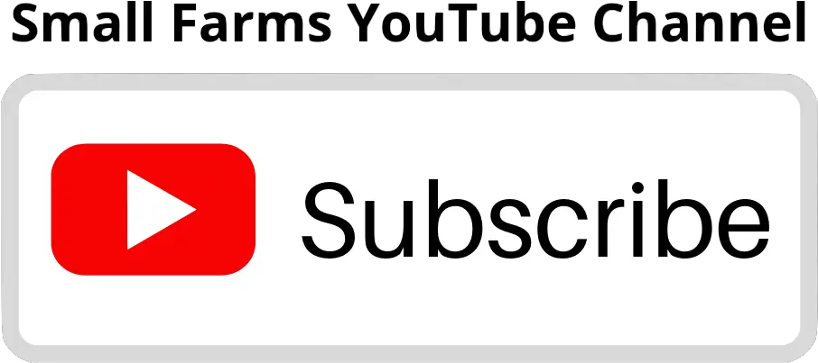 Youtube Subscribe Button Subscribe Button Youtube png