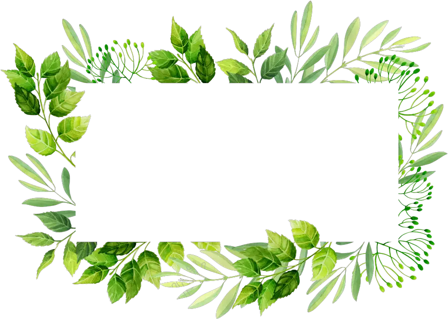 Vector Frame Png Transparent Images Leaves Invitation Frame Png png
