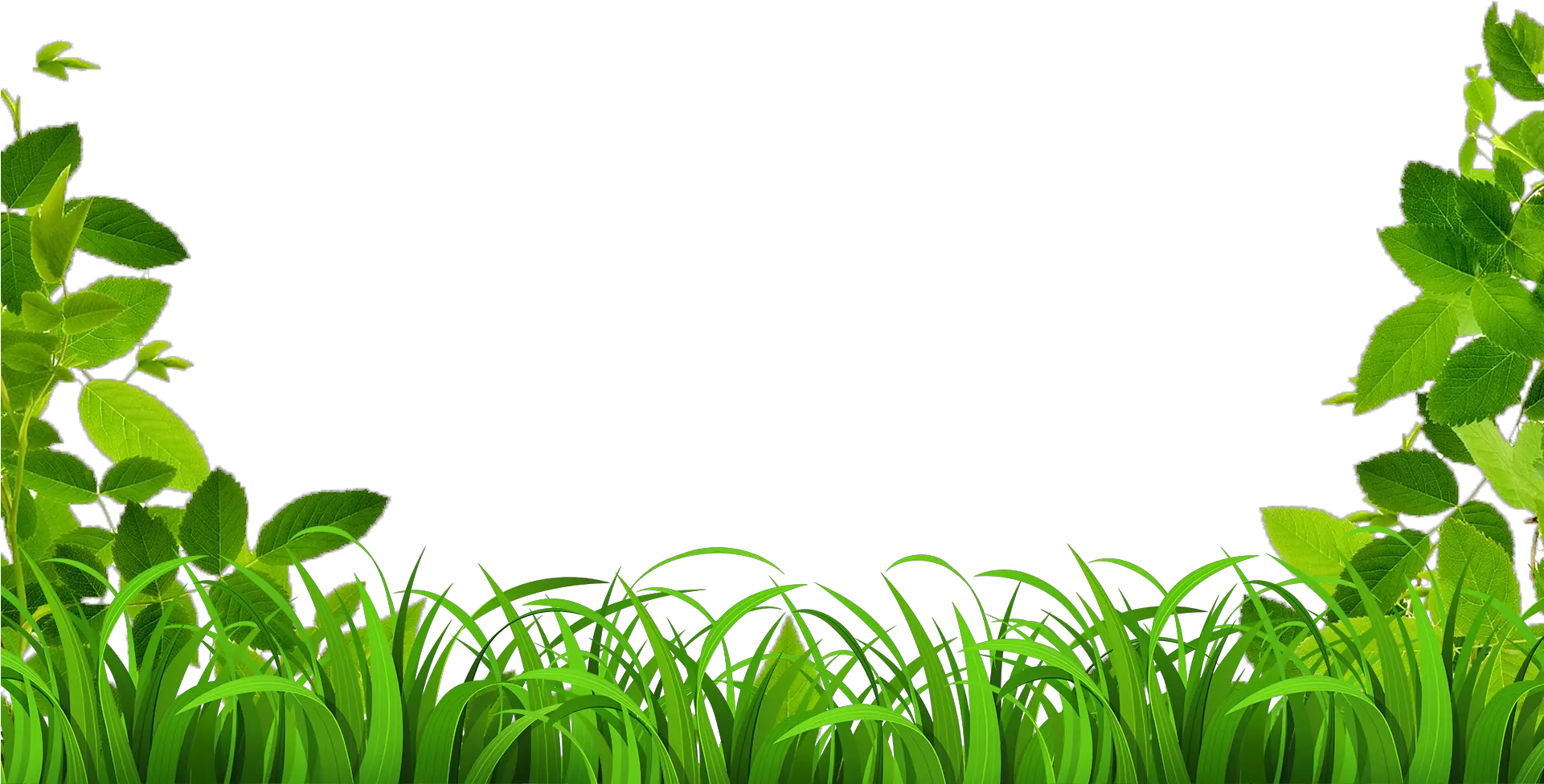 Vine Border Png Download Leaves Border Page Leaf Page Border Free png