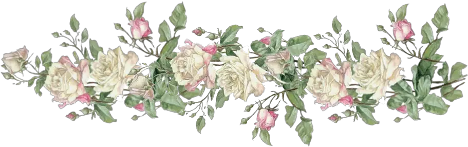 White Rose Border Png Border Vintage Flowers Png png