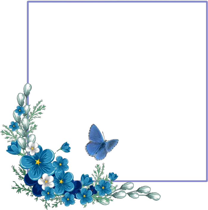 Ftestickers Border Frame Watercolorflowers Butterfly Border Floral Transparent Background png