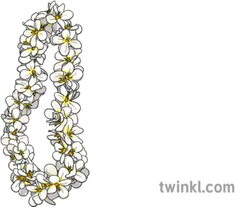 Hawaiian Lei Flower Garland Illustration Twinkl Illustration Png Flower Garland Png