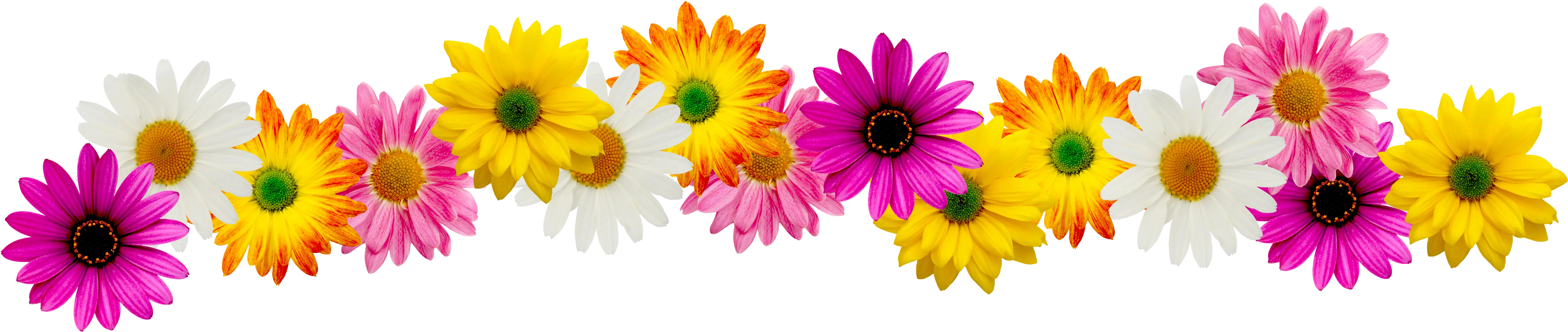 Spring Flower Border Clipart Spring Flowers Clip Art Border png