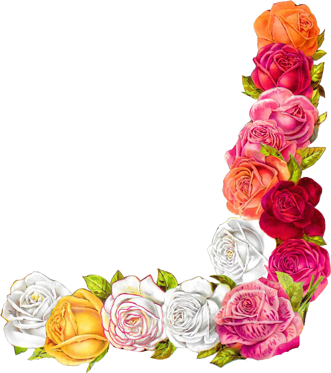 Transparent Border Design Clipart Border Flower Png Hd png