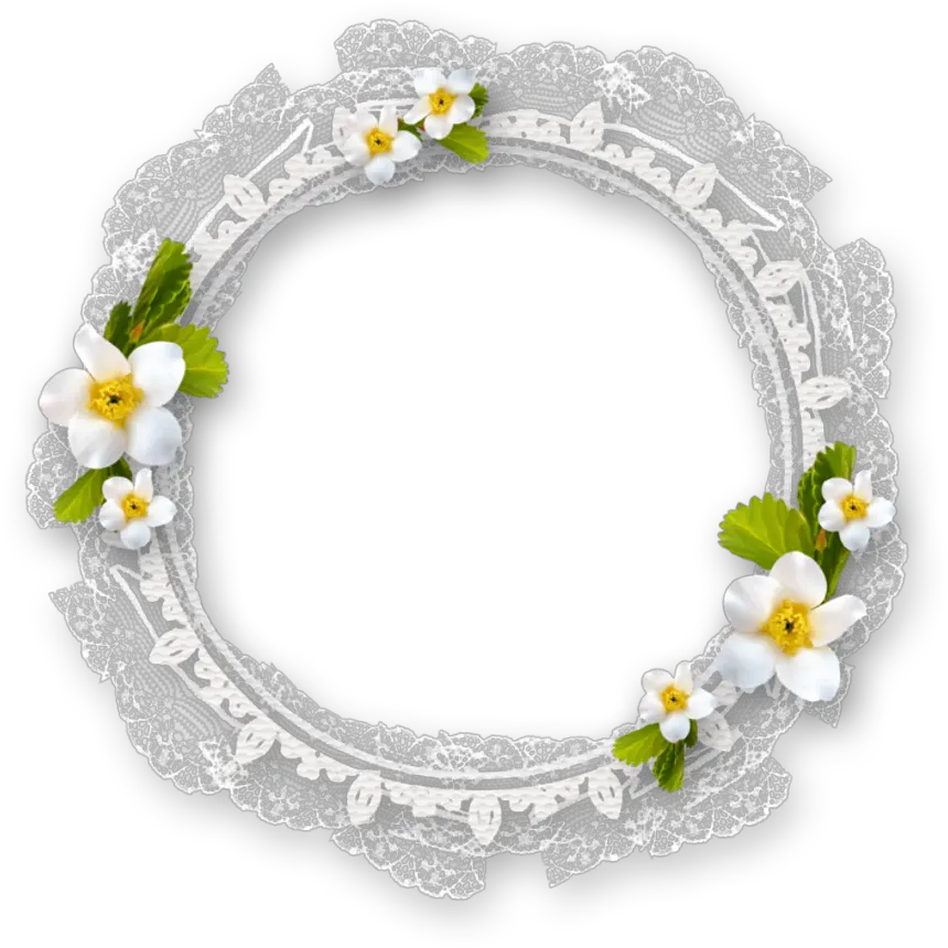 mq white circle flowers frame frames border White Flower Frame Png png