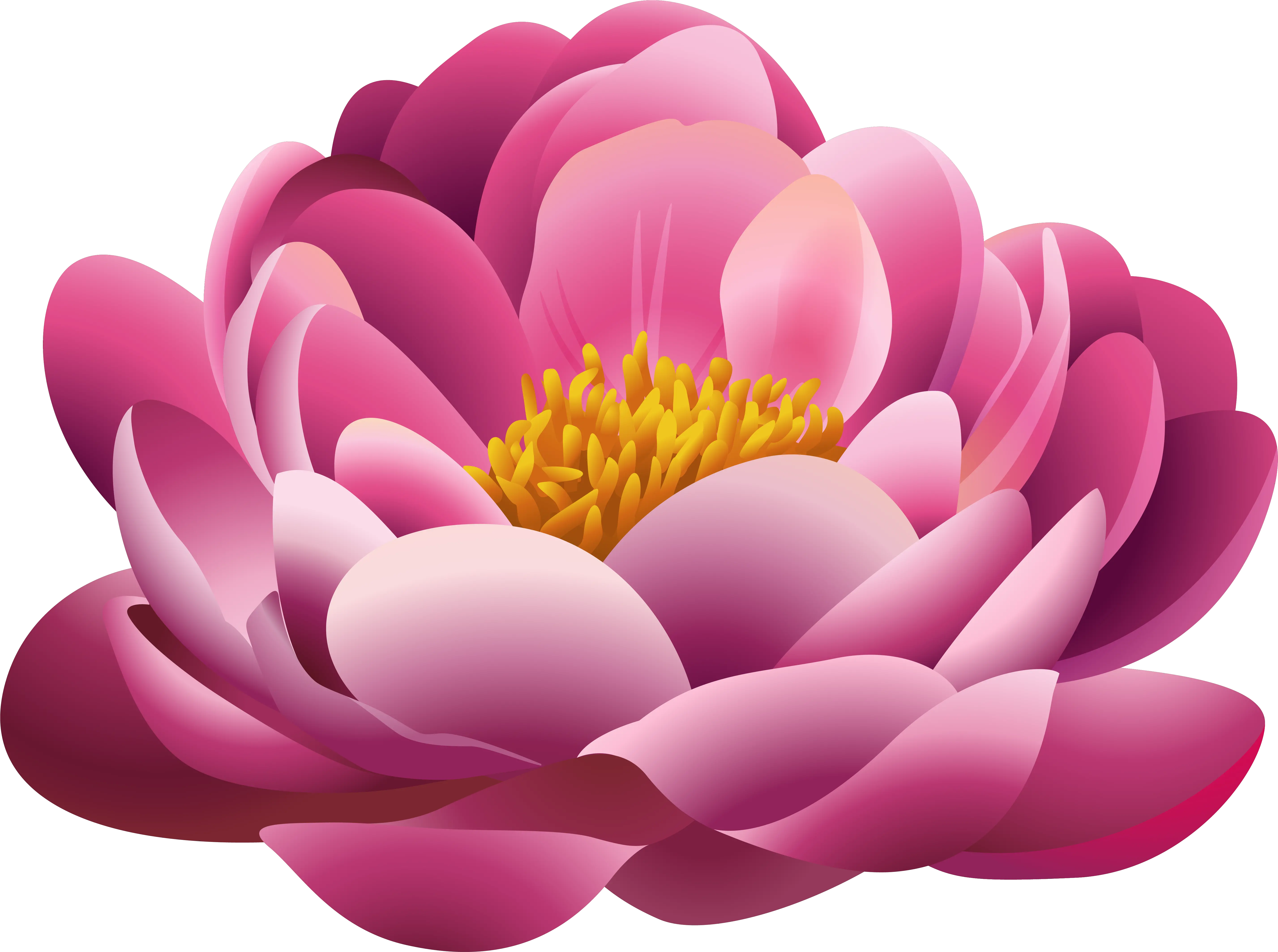 Pink Flowers Clip Art Pretty Flower Flower Clipart png