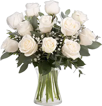 Touch Of Class 12 White Roses Dozen White Roses Png White Rose Transparent