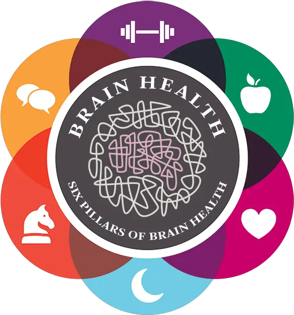 Healthy Brains Brain Health Png Medical Brain Icon