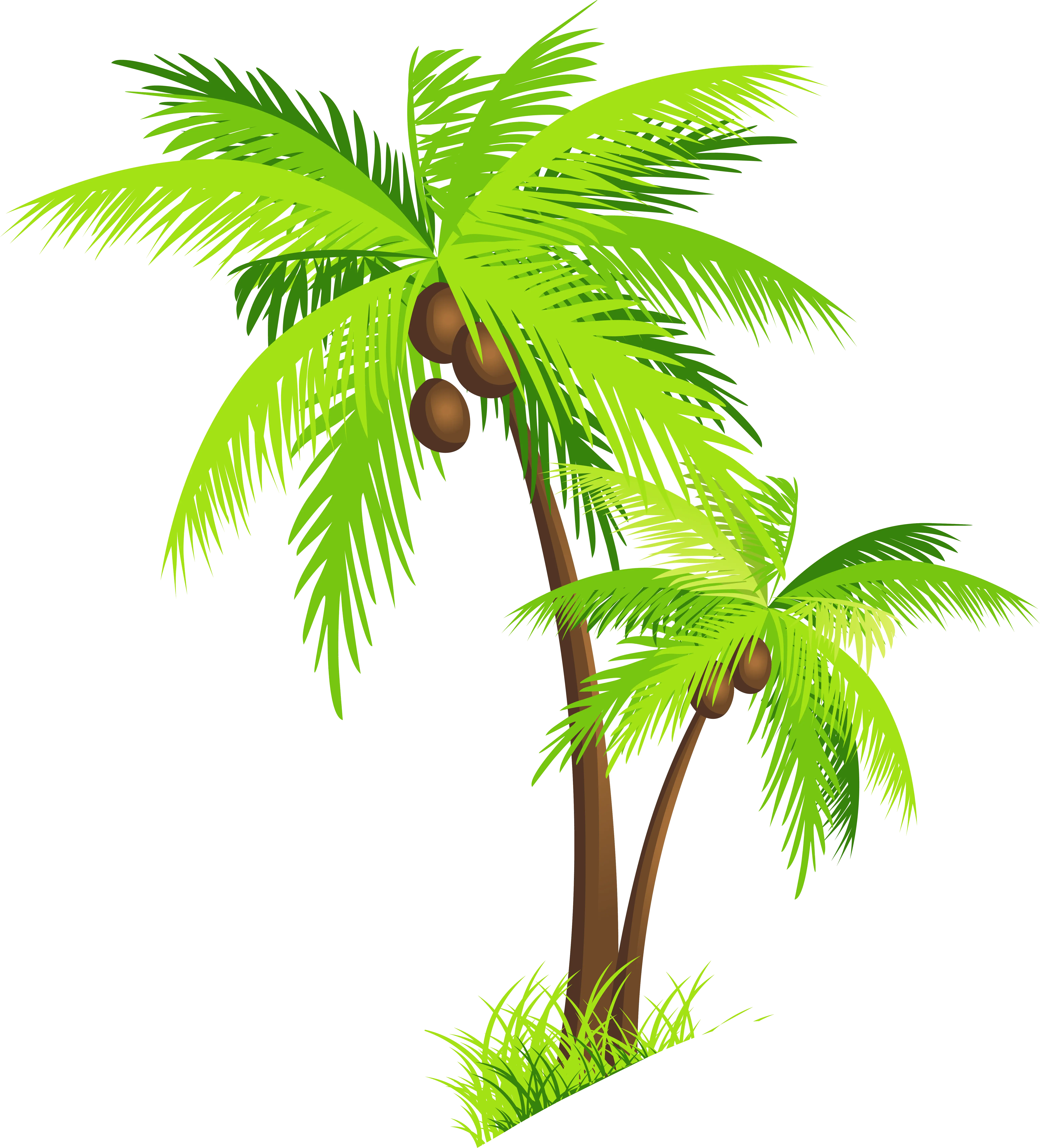 Safari Trees Hd Coconut Tree Clipart Palm Clip Art Transparent Background Coconut Tree Clipart png