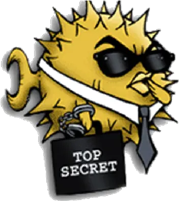 How To Install Openssh Openssh Logo Png Windows 7 Icon